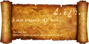 Laurinyecz Ákos névjegykártya